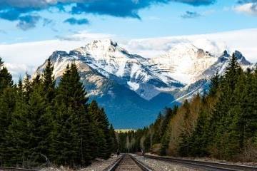 Article Twin-tracks persist in 2026 vote season
