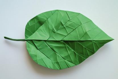 The impact advantage - a playbook for sustainable infrastructure investing