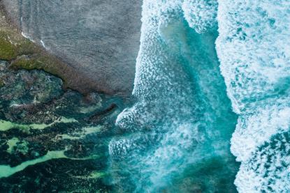 Systematically Identifying Potential Biodiversity Risks