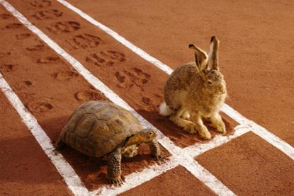 The hare or the tortoise? A unique approach to investing in the US