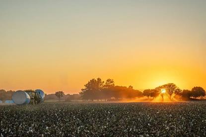 Five reasons to consider an allocation to farmland
