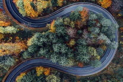 Sustainable forestry Investing