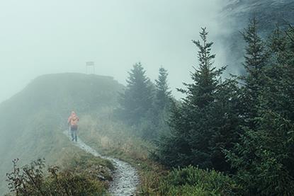 Beyond mixed signals - A focus on Income