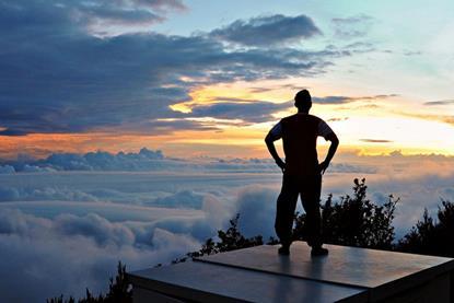 Rob Lovelace on the year ahead