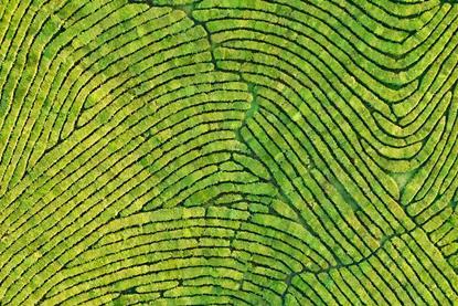 Multi-Asset Views – It’s a wild world (but a wide world)