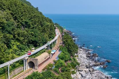Charting a Distinct Course to Asia’s Awakening Equity Markets