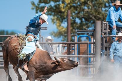 The Bull, the Bear and the Bubble