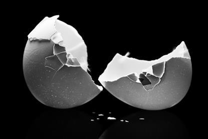 cracked-egg-lg