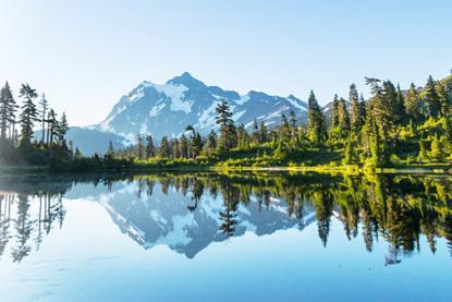 World markets review — Fourth quarter 2025