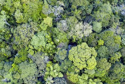 Integrating sustainability every step of the way
