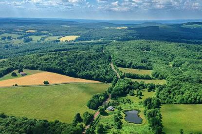 Agriculture and forestry offer investors a path to biodiversity