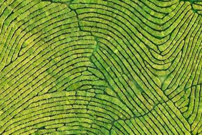 Multi-Asset Views- Potential opportunities through diversification