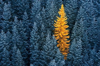 Evergreen Private Equity Investing- Key Benefits of a Direct, Multimanager Approach