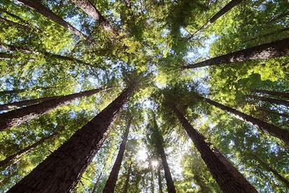 Equities- Stay Invested, Stay Diversified