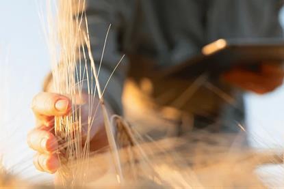 farmer-examining-crops-hero