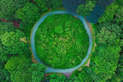 Five questions- Sustainable Global Investment Grade Credit