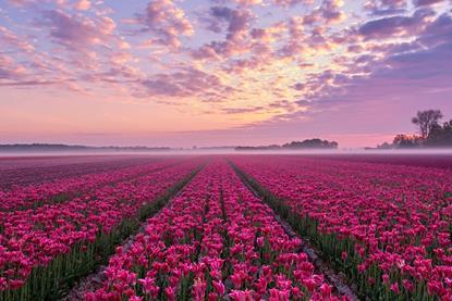 EOS 2025 Annual Review