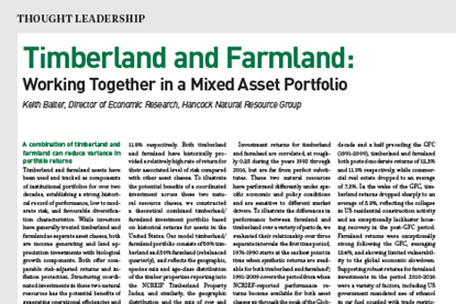 timberland and farmland working together in a mixed asset portfolio