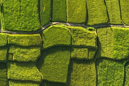 Real assets outlook- Widening investment opportunities