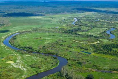 Unlocking green, social and sustainability bonds’ full potential