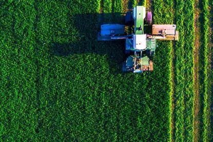 The ‘inverted pyramid’- winners from new US food guidelines