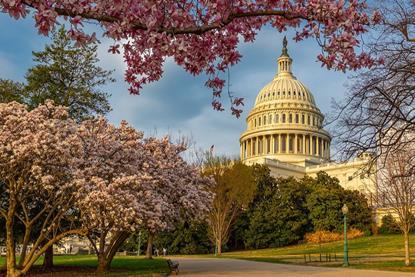 Webinar- Geopolitics and the US midterms