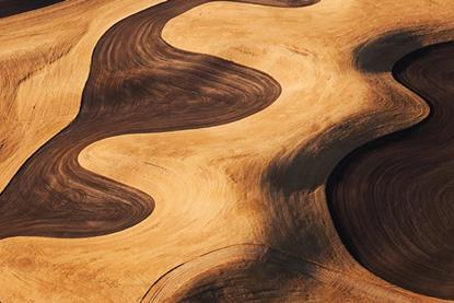 Artificial intelligence- Not a bubble… yet