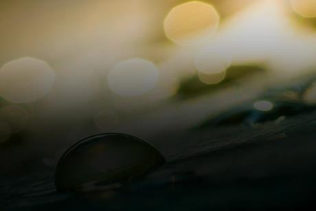 2026 Multi-Asset Outlook- Back to Micro