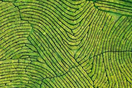 Multi-Asset Investments Views- Midnight oil