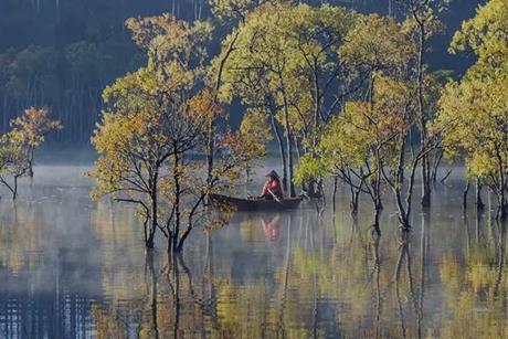 India’s Clean Energy Moment