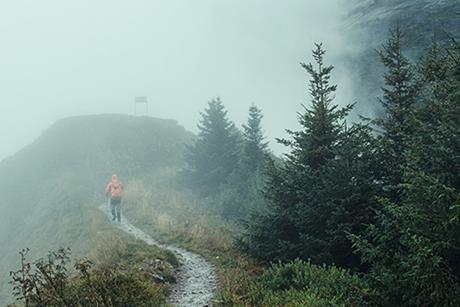 Beyond mixed signals - A focus on Income