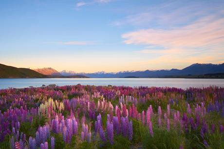 Not everything that counts can be counted