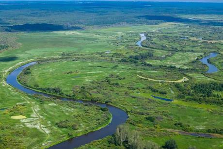 Unlocking green, social and sustainability bonds’ full potential