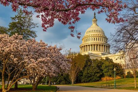 Webinar- Geopolitics and the US midterms