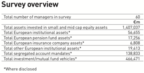 survey overview small and mid cap equities 2018