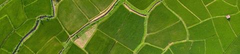 Aligning investment strategies and sustainable development goals
