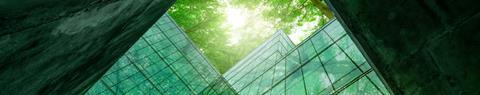 Private equity into a net zero world