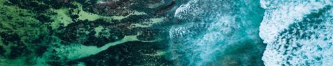 Systematically Identifying Potential Biodiversity Risks