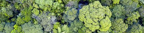 Integrating sustainability every step of the way