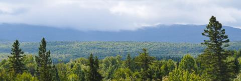 Blueback -  North Maine woods 39_LMP (1)