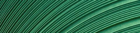 Private Equity Value Creation Series- Sustainable Investing Trends